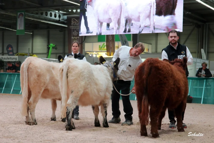 170 Klasse Gallowy Faersen 4 A