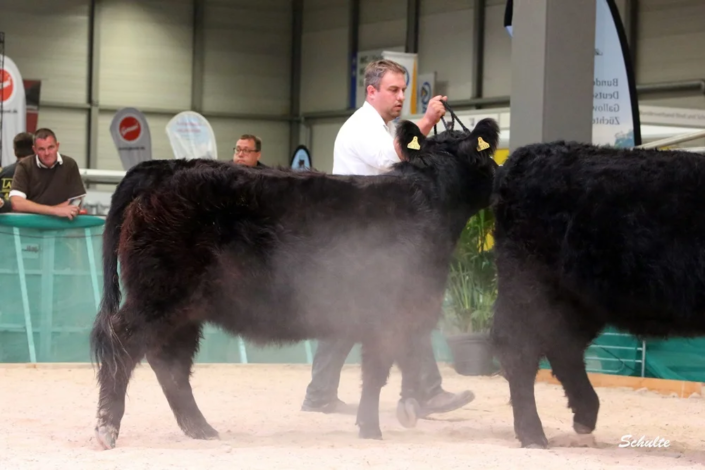 173 95 1c DE06 65485114 Yasmin V. Bechtelsberg 09.09.2022 Kraft Und Bock GbR, Ottrau A