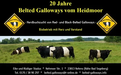 Belted Galloways vom Heidmoor - Eike und Rüdiger Stadus