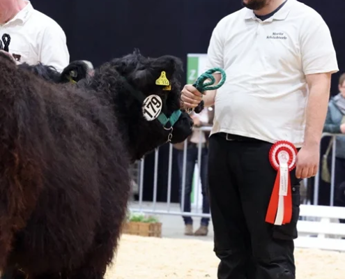 068 179 1a Yakari DE 06 654 84536 Oblivion Bernd Schlichterle, Burgwald (4) A