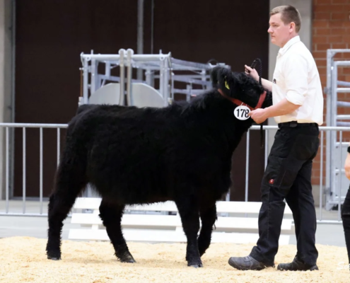 075 178 1b Quandra DE 06 654 91881 Kensington Norbert Noll, Wetter A