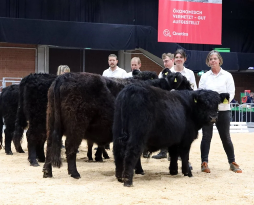 320 171 1a S Ilvy DE 06 654 67964 Keke Harald Battefeld, Burgwald A