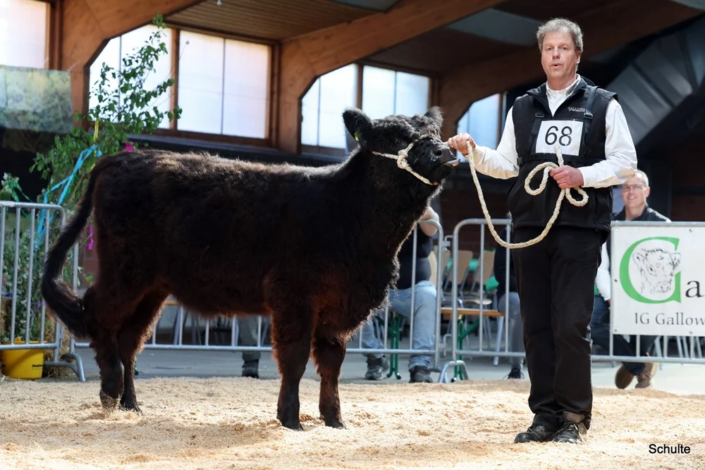 040 040 68 1d Jette 6 V. Zuchthof Loemker 21.04.2024 Joerg Buettemeyer A