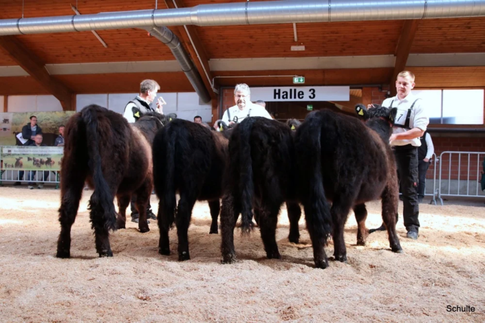 056 056 Klasse 1 A