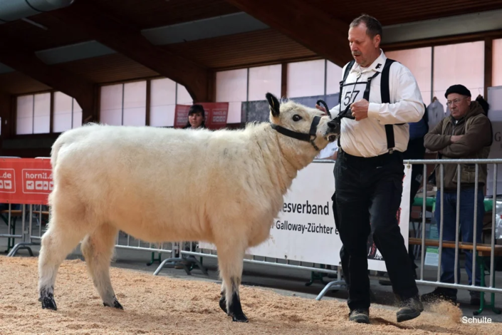 077 077 57 1a RS Silberfee Of Highstone 27.02.2024 Manfred Lamp A