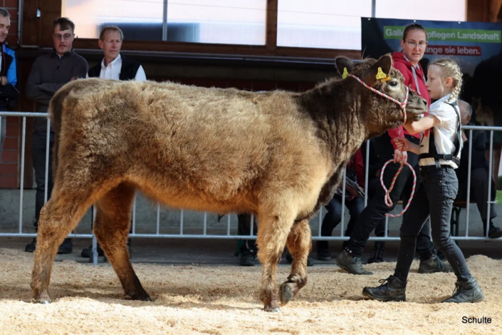 078 078 62 1c Inala Vom Bechtelsberg 22.03.2024 Kraft Und Bock GbR A
