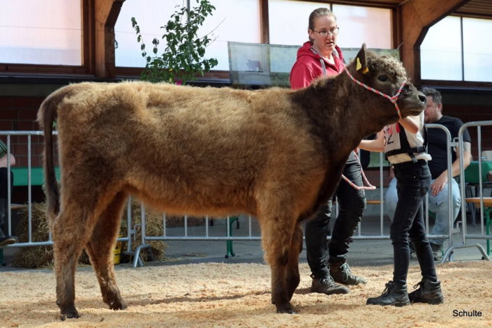 080 080 62 1c Inala Vom Bechtelsberg 22.03.2024 Kraft Und Bock GbR A
