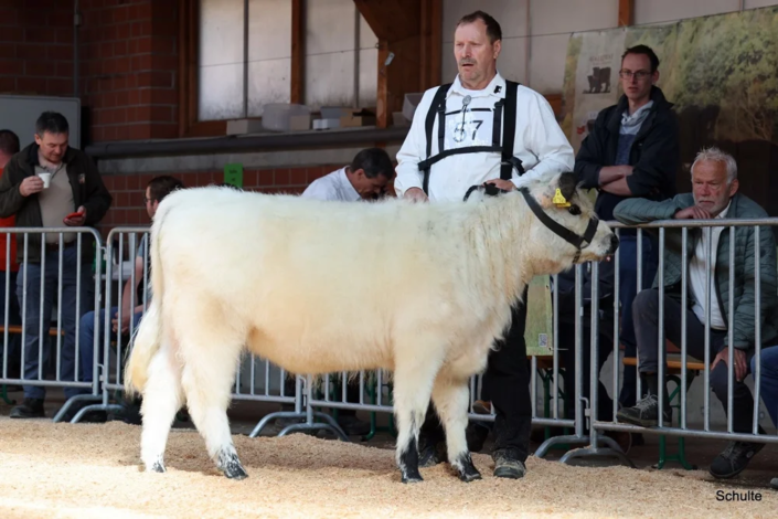 087 087 57 1a RS Silberfee Of Highstone 27.02.2024 Manfred Lamp A