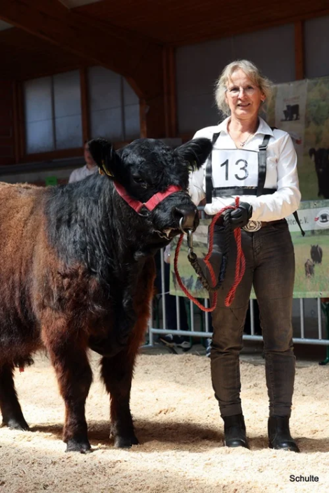 457 457 13 1a Q Master W 24 06.03.2024 Arno Molter A