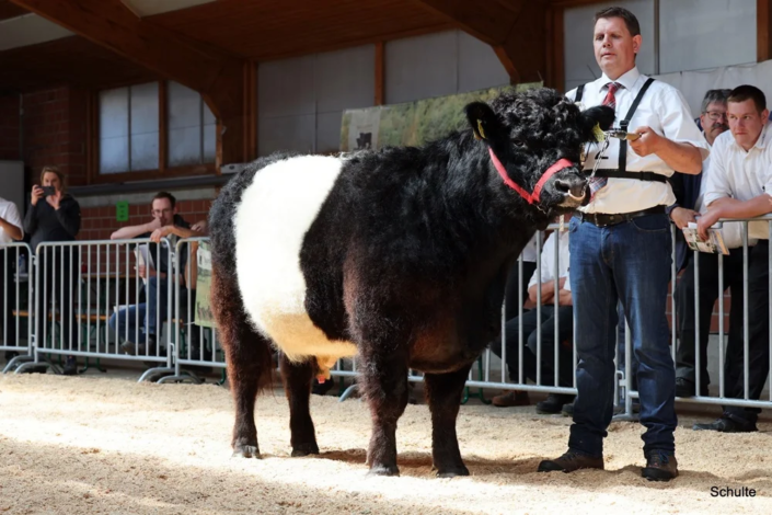 482 482 72 1a S His Highness Vom Rennsteig 06.05.2023 Steffi Heller A
