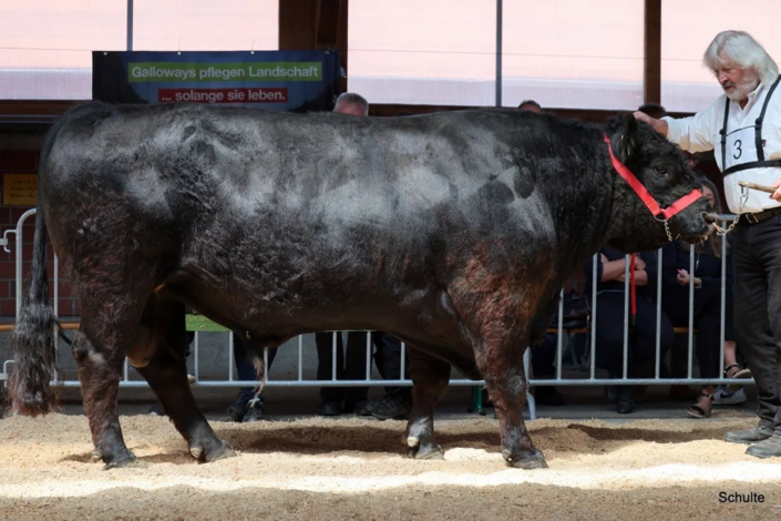 506 506 3 1c Zinkands YoKozuna 11.12.2019 Dr. Klaus Kress A