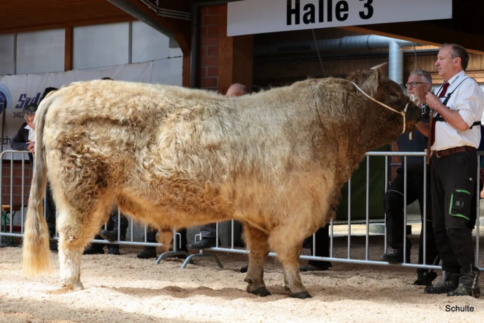 507 507 1 1b Keks 16.03.2018 Carsten Haase A