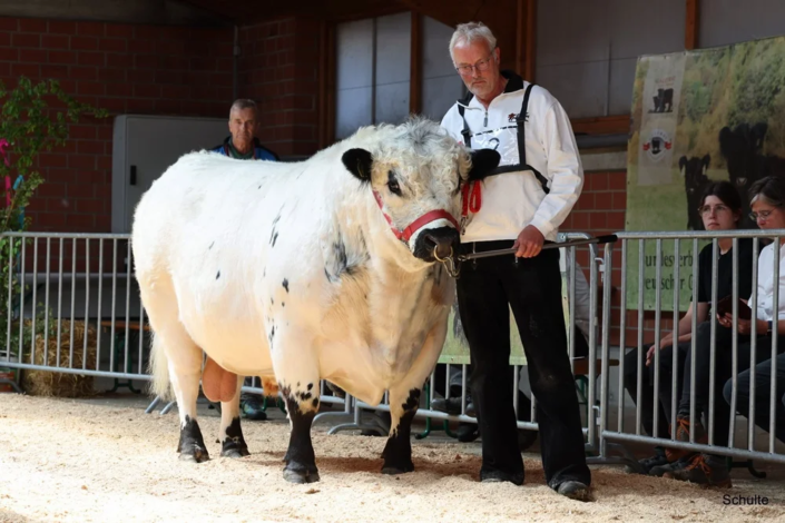 508 508 2 1a RS Balu 03.12.2019 Guenter Wilhelmi A