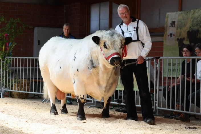 509 509 2 1a RS Balu 03.12.2019 Guenter Wilhelmi A