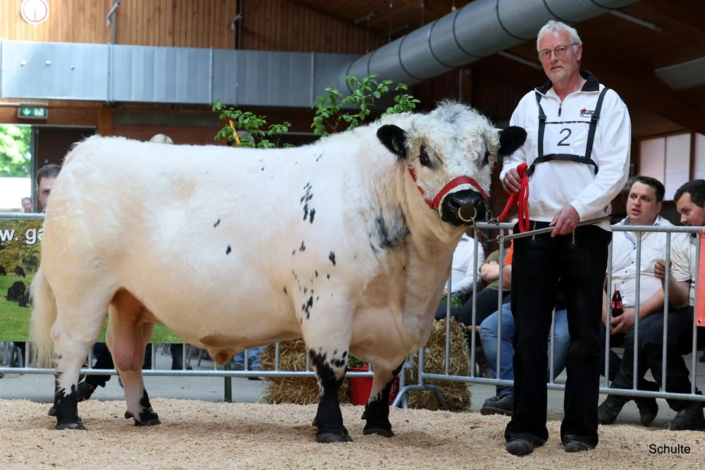510 510 2 1a RS Balu 03.12.2019 Guenter Wilhelmi A