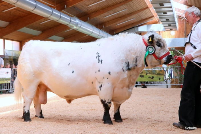 511 511 2 1a RS Balu 03.12.2019 Guenter Wilhelmi A