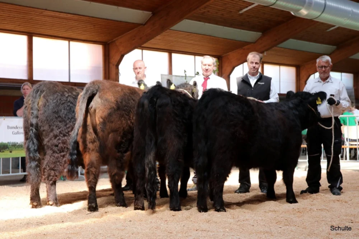 529 529 Laendersammlung Niedersachsen Hasse, Wiechering Sudmann, Buettemeyer A