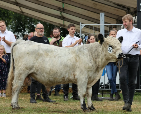 180 93 Ic DE 03 647 19814 Nicechamp Nike Schulz Landwirtschafts GbR 30938 Burgwedel A