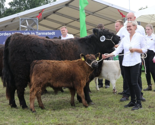 213 99 Ia DE 03 639 42307 Queen Mary Elmo Anke Wiechering Sudmann 49356 Diepholz(3) A
