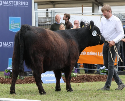 229 100 Id DE 03 631 47178 Alida Mhordhu Schulz Landwirtschafts GbR 30938 Burgwedel A