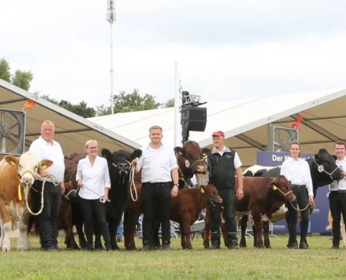 373 Auswahl Miss Tarmstedt