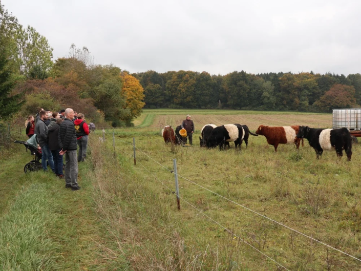 Galloway Herde bei der Familie Ludwig Galloway Herde bei der Familie Ludwig