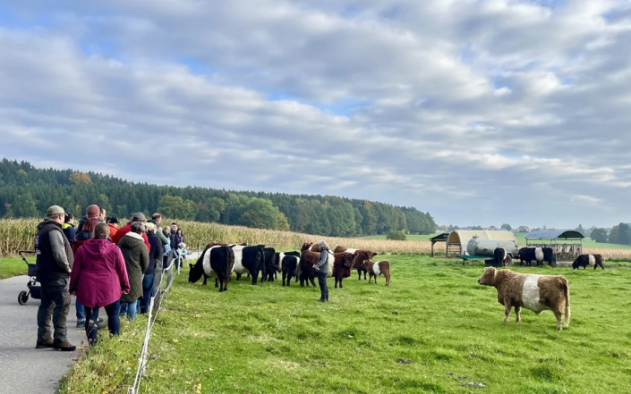 Galloway Herde Familie Tristl Galloway Herde Familie Tristl