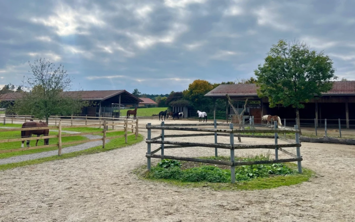 Pferdebetrieb Offenstall Gut Kastensee Pferdebetrieb Offenstall Gut Kastensee