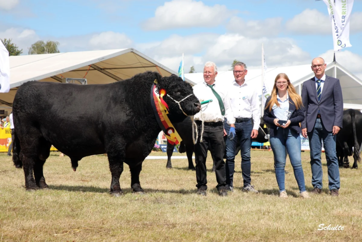 Bundes und Landessieger Donnerhall – hier bei der Preisübergabe zum Mister Tarmstedt 2022