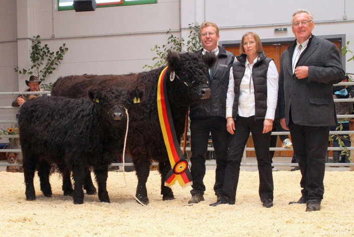 Der damalige Bundesvorsitzende und Wegbegleiter Georg Menke gratuliert Marion und Friedrich Wiegmann zur Bundessiegerin Upsala anlässlich der Galloway-Bundesschau 2012 in Laasdorf