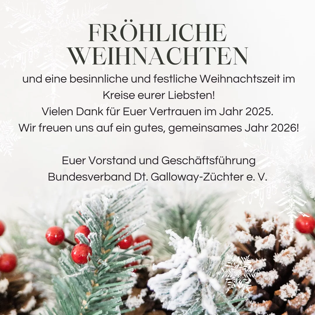 Weihnachtsgrüße und Neujahrswünsche Weihnachtsgrüße und Neujahrswünsche
