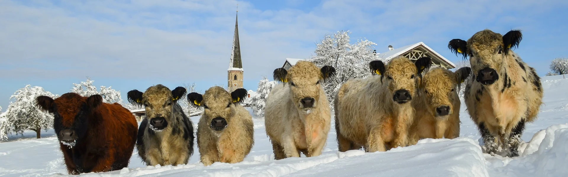 Garnecker Freiheit, Taubenbach